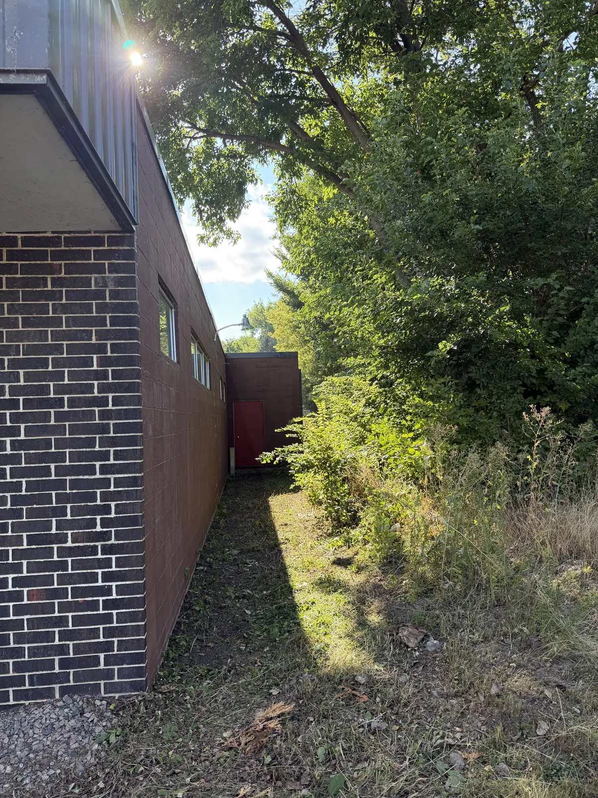 Brush Removal project photo