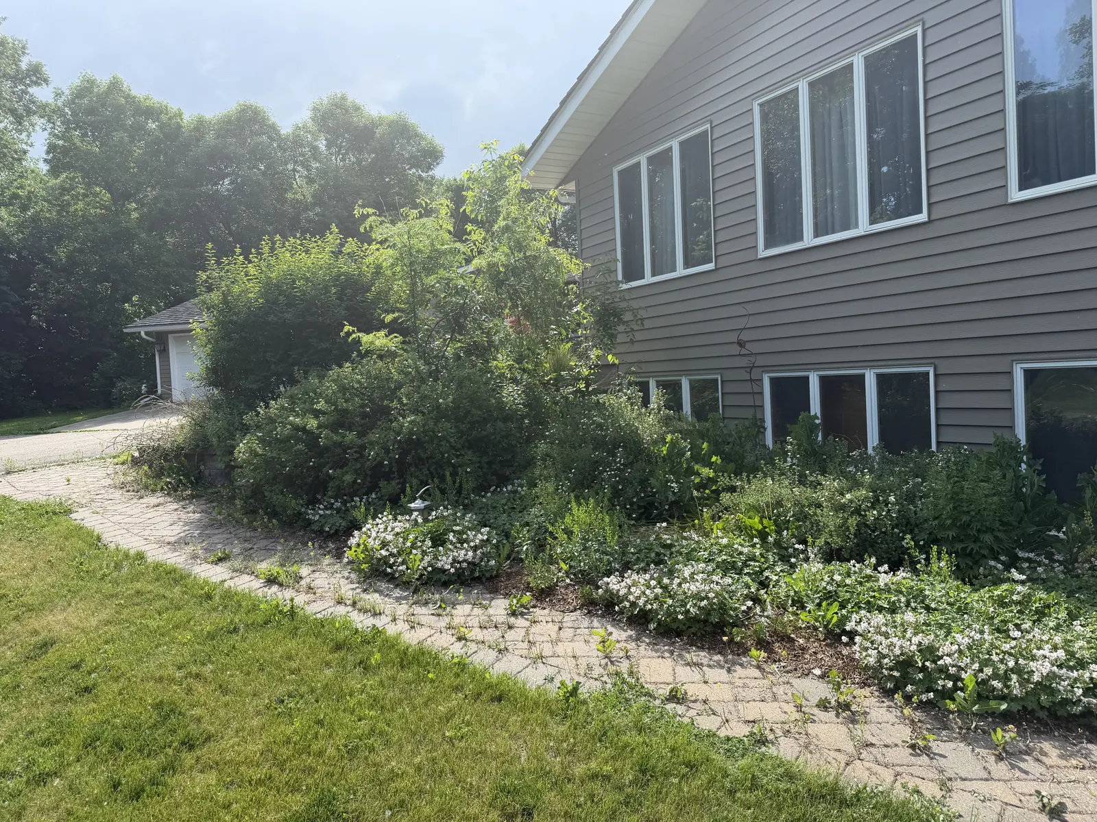 Before the landscape bed refresh
