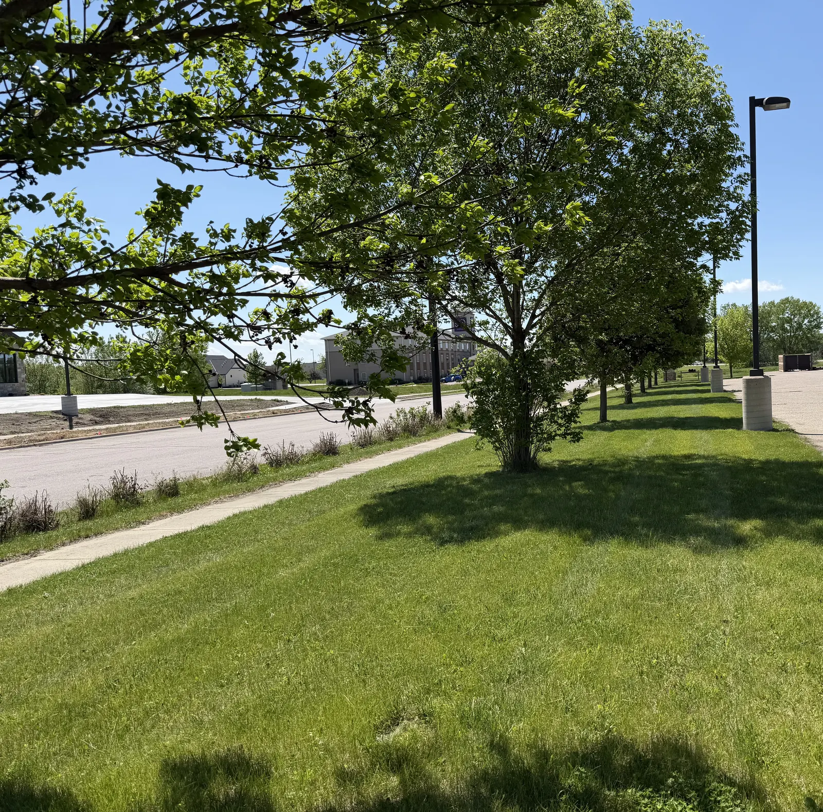 Maintained lawn at a Southwest Minnesota property