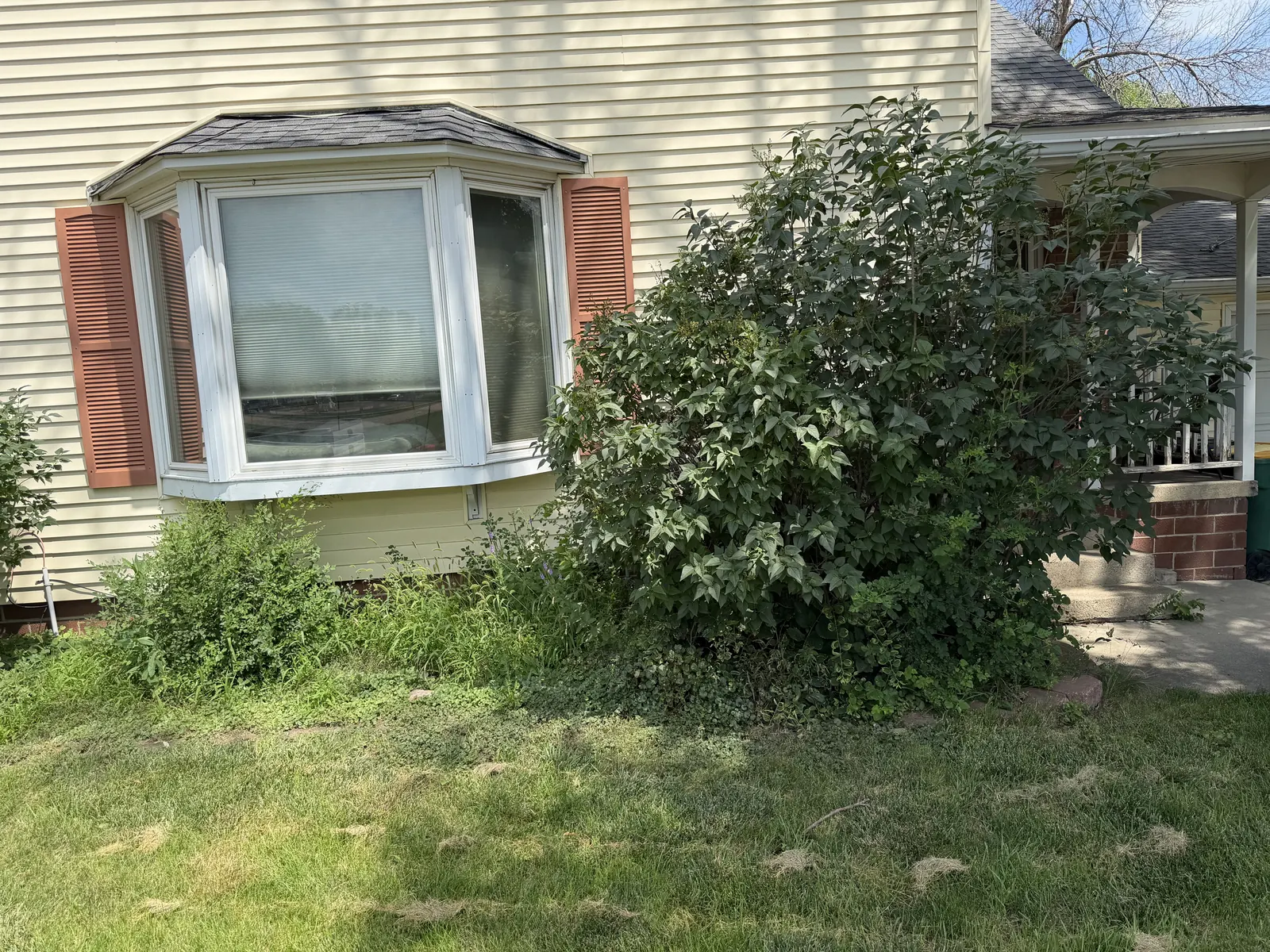 Before the residential rock-bed cleanup