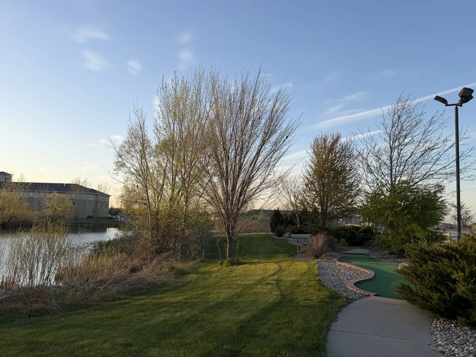 Tree Trimming project photo