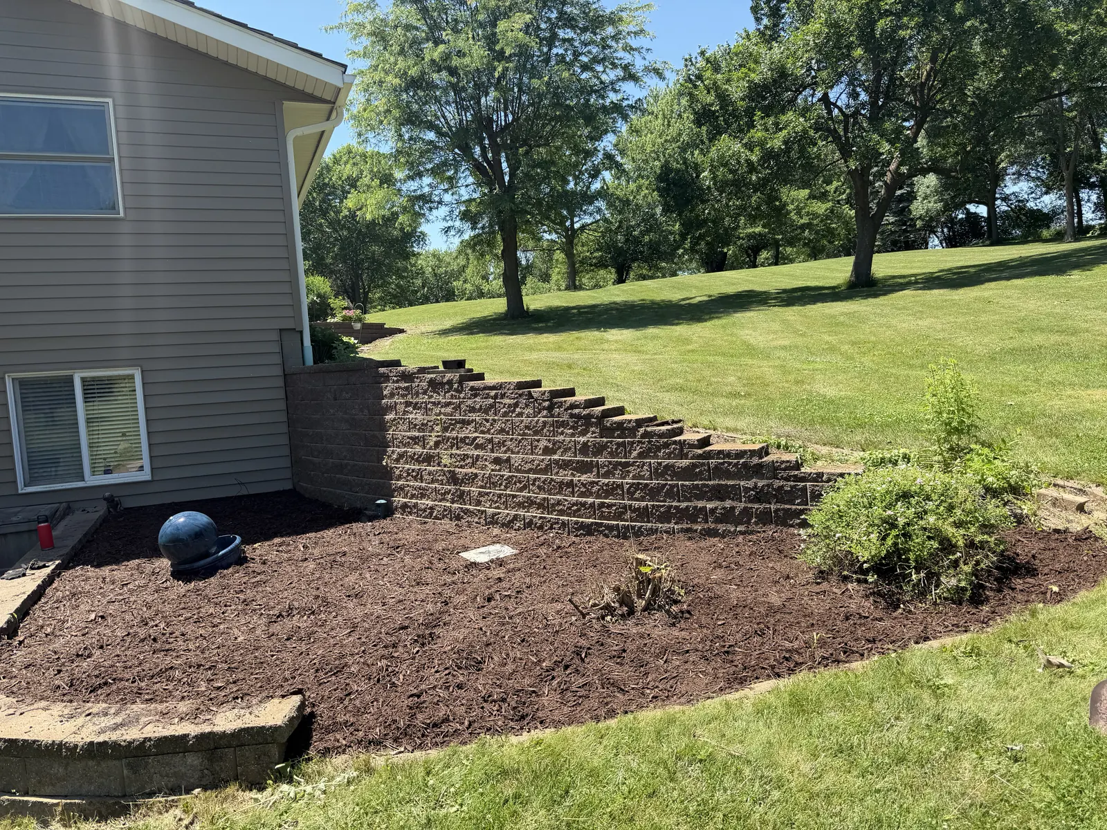 Yard Cleanups project photo