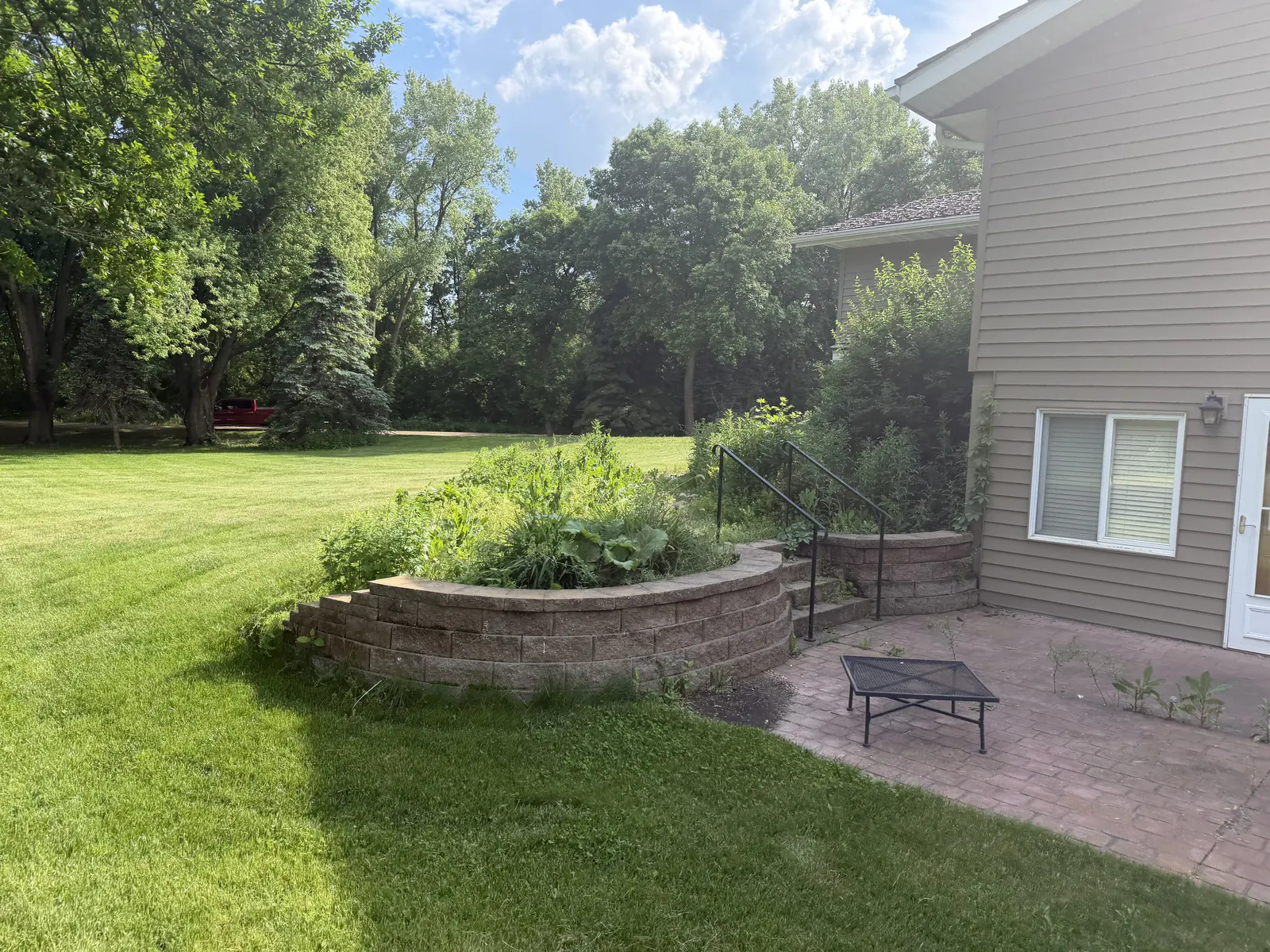 Before the residential yard and landscape cleanup